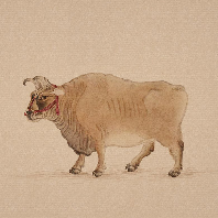 頭像圖標(biāo)1